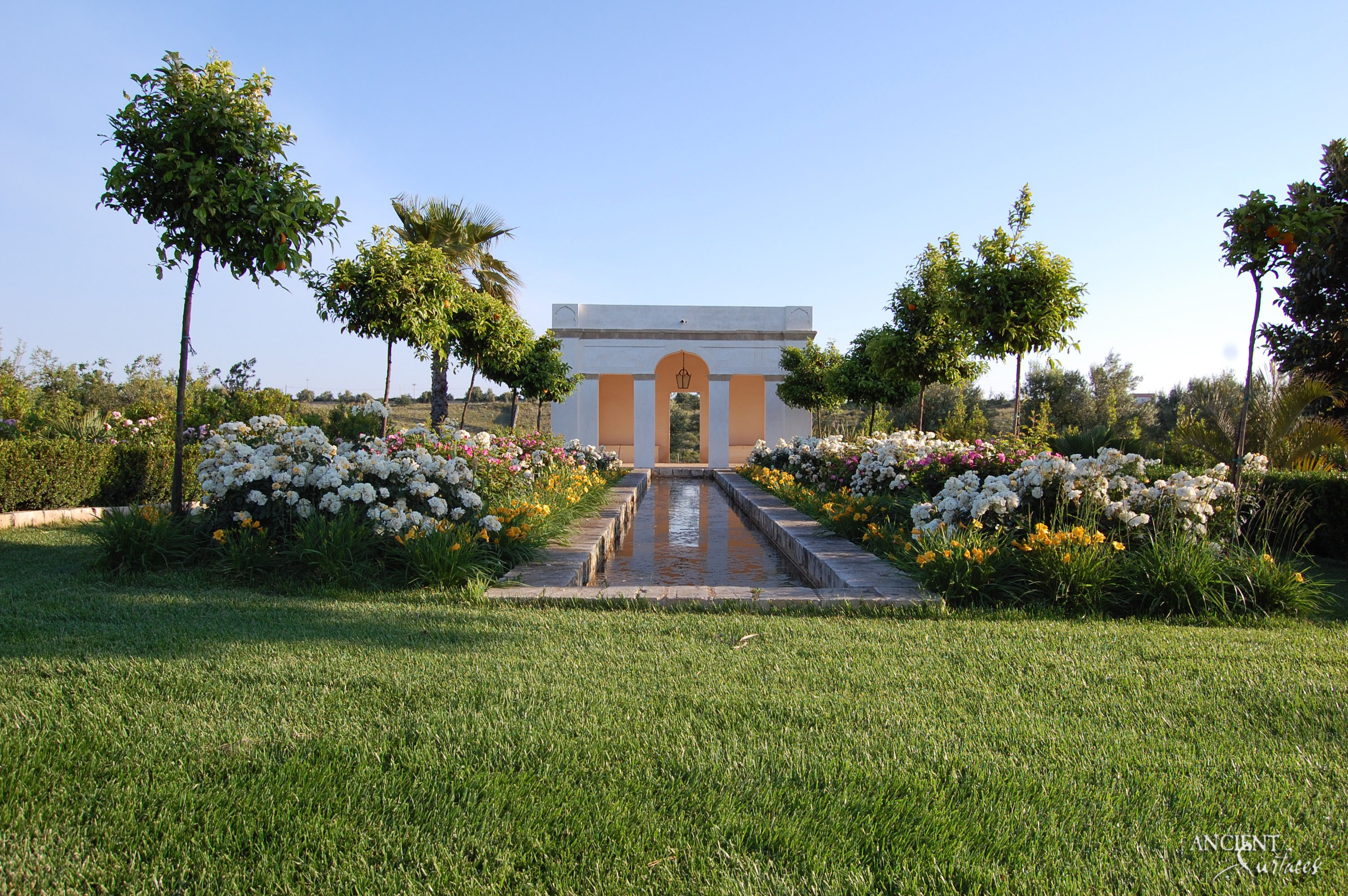 outdoor-garnden-italian-ladnscape-villa-limestone-pool-coping