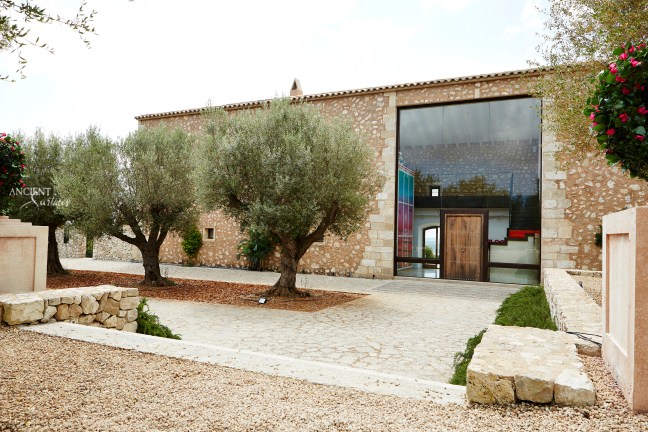 Antique Limestone Pool Patio and BBQ deck-Allyway-9